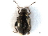  ( - CNC COLEO 00151825)  @11 [ ] CreativeCommons - Attribution (2012) CNC/CBG Photography Group Centre for Biodiversity Genomics