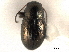  ( - CNC COLEO 00151827)  @11 [ ] CreativeCommons - Attribution (2012) CNC/CBG Photography Group Centre for Biodiversity Genomics