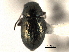  ( - CNC COLEO 00151845)  @11 [ ] CreativeCommons - Attribution (2012) CNC/CBG Photography Group Centre for Biodiversity Genomics