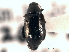  ( - CNC COLEO 00151941)  @11 [ ] CreativeCommons - Attribution (2012) CNC/CBG Photography Group Centre for Biodiversity Genomics