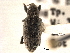  ( - CNC COLEO 00153387)  @11 [ ] CreativeCommons - Attribution (2012) CNC/CBG Photography Group Centre for Biodiversity Genomics