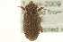  ( - CNC COLEO 00157863)  @13 [ ] CreativeCommons - Attribution (2012) CNC/CBG Photography Group Centre for Biodiversity Genomics