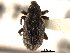  ( - CNC COLEO 00157898)  @11 [ ] CreativeCommons - Attribution (2012) CNC/CBG Photography Group Centre for Biodiversity Genomics
