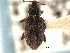  ( - CNC COLEO 00157899)  @11 [ ] CreativeCommons - Attribution (2012) CNC/CBG Photography Group Centre for Biodiversity Genomics