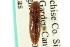  ( - CNC COLEO 00158682)  @11 [ ] CreativeCommons - Attribution (2012) CNC/CBG Photography Group Centre for Biodiversity Genomics