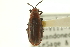  ( - CNC COLEO 00152022)  @11 [ ] CreativeCommons - Attribution (2012) CNC/CBG Photography Group Centre for Biodiversity Genomics