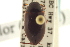  ( - CNC COLEO 00150072)  @11 [ ] CreativeCommons - Attribution (2012) CNC/CBG Photography Group Centre for Biodiversity Genomics