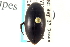  (Ilybius picipes - CNC COLEO 00150259)  @14 [ ] CreativeCommons - Attribution (2012) CNC/CBG Photography Group Centre for Biodiversity Genomics
