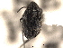  ( - CNC COLEO 00152088)  @11 [ ] CreativeCommons - Attribution (2012) CNC/CBG Photography Group Centre for Biodiversity Genomics