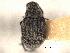  ( - CNC COLEO 00152091)  @11 [ ] CreativeCommons - Attribution (2012) CNC/CBG Photography Group Centre for Biodiversity Genomics