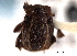  ( - CNC COLEO 00152301)  @11 [ ] CreativeCommons - Attribution (2012) CNC/CBG Photography Group Centre for Biodiversity Genomics