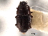  ( - CNC COLEO 00152344)  @11 [ ] CreativeCommons - Attribution (2012) CNC/CBG Photography Group Centre for Biodiversity Genomics