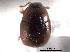 ( - CNC COLEO 00152355)  @11 [ ] CreativeCommons - Attribution (2012) CNC/CBG Photography Group Centre for Biodiversity Genomics