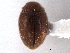  ( - CNC COLEO 00154100)  @11 [ ] CreativeCommons - Attribution (2012) CNC/CBG Photography Group Centre for Biodiversity Genomics