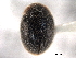  ( - CNC COLEO 00154118)  @11 [ ] CreativeCommons - Attribution (2012) CNC/CBG Photography Group Centre for Biodiversity Genomics