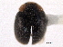  ( - CNC COLEO 00154125)  @11 [ ] CreativeCommons - Attribution (2012) CNC/CBG Photography Group Centre for Biodiversity Genomics