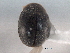  ( - CNC COLEO 00154169)  @11 [ ] CreativeCommons - Attribution (2012) CNC/CBG Photography Group Centre for Biodiversity Genomics