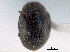  ( - CNC COLEO 00154171)  @11 [ ] CreativeCommons - Attribution (2012) CNC/CBG Photography Group Centre for Biodiversity Genomics