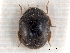  ( - CNC COLEO 00154172)  @11 [ ] CreativeCommons - Attribution (2012) CNC/CBG Photography Group Centre for Biodiversity Genomics