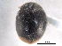  ( - CNC COLEO 00154178)  @11 [ ] CreativeCommons - Attribution (2012) CNC/CBG Photography Group Centre for Biodiversity Genomics