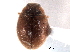  ( - CNC COLEO 00154190)  @11 [ ] CreativeCommons - Attribution (2012) CNC/CBG Photography Group Centre for Biodiversity Genomics