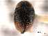  ( - CNC COLEO 00154193)  @11 [ ] CreativeCommons - Attribution (2012) CNC/CBG Photography Group Centre for Biodiversity Genomics