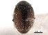  ( - CNC COLEO 00154400)  @11 [ ] CreativeCommons - Attribution (2012) CNC/CBG Photography Group Centre for Biodiversity Genomics