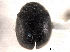  ( - CNC COLEO 00154410)  @11 [ ] CreativeCommons - Attribution (2012) CNC/CBG Photography Group Centre for Biodiversity Genomics