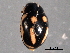  ( - CNC COLEO 00154490)  @11 [ ] CreativeCommons - Attribution (2012) CNC/CBG Photography Group Centre for Biodiversity Genomics