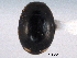  (Hyperaspis oregona - CNC COLEO 00154526)  @13 [ ] CreativeCommons - Attribution (2012) CNC/CBG Photography Group Centre for Biodiversity Genomics