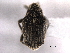  ( - CNC COLEO 00154653)  @13 [ ] CreativeCommons - Attribution (2012) CNC/CBG Photography Group Centre for Biodiversity Genomics