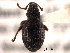  ( - CNC COLEO 00154661)  @13 [ ] CreativeCommons - Attribution (2012) CNC/CBG Photography Group Centre for Biodiversity Genomics