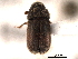  ( - CNC COLEO 00154686)  @13 [ ] CreativeCommons - Attribution (2012) CNC/CBG Photography Group Centre for Biodiversity Genomics