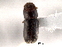  ( - CNC COLEO 00154690)  @13 [ ] CreativeCommons - Attribution (2012) CNC/CBG Photography Group Centre for Biodiversity Genomics