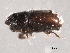  ( - CNC COLEO 00154693)  @11 [ ] CreativeCommons - Attribution (2012) CNC/CBG Photography Group Centre for Biodiversity Genomics