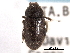  ( - CNC COLEO 00159323)  @11 [ ] CreativeCommons - Attribution (2012) CNC/CBG Photography Group Centre for Biodiversity Genomics