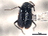  ( - CNC COLEO 00159678)  @11 [ ] CreativeCommons - Attribution (2012) CNC/CBG Photography Group Centre for Biodiversity Genomics