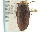  ( - CNC COLEO 00152821)  @12 [ ] CreativeCommons - Attribution (2012) CNC/CBG Photography Group Centre for Biodiversity Genomics