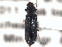  ( - CNC COLEO 00155389)  @11 [ ] CreativeCommons - Attribution (2012) CNC/CBG Photography Group Centre for Biodiversity Genomics