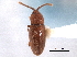  ( - CNC COLEO 00159897)  @11 [ ] CreativeCommons - Attribution (2012) CNC/CBG Photography Group Centre for Biodiversity Genomics