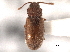  ( - CNC COLEO 00159901)  @11 [ ] CreativeCommons - Attribution (2012) CNC/CBG Photography Group Centre for Biodiversity Genomics
