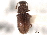  ( - CNC COLEO 00159902)  @11 [ ] CreativeCommons - Attribution (2012) CNC/CBG Photography Group Centre for Biodiversity Genomics