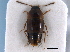  ( - CNC COLEO 00161401)  @11 [ ] CreativeCommons - Attribution (2014) CBG Photography Group Centre for Biodiversity Genomics