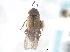  ( - CNC COLEO 00250170)  @11 [ ] CreativeCommons - Attribution (2013) CNC/CBG Photography Group Centre for Biodiversity Genomics