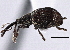  ( - CNC COLEO 00160989)  @14 [ ] CreativeCommons - Attribution (2013) CBG Photography Group Centre for Biodiversity Genomics
