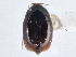  ( - CNC COLEO 00162939)  @11 [ ] CreativeCommons - Attribution (2013) CNC/CBG Photography Group Centre for Biodiversity Genomics