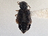  ( - CNC COLEO 00163073)  @11 [ ] CreativeCommons - Attribution (2013) CNC/CBG Photography Group Centre for Biodiversity Genomics