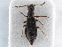  ( - CNC COLEO 00246574)  @11 [ ] CreativeCommons - Attribution (2013) CNC/CBG Photography Group Centre for Biodiversity Genomics