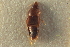  ( - CNC COLEO 00250360)  @11 [ ] CreativeCommons - Attribution (2014) CBG Photography Group Centre for Biodiversity Genomics