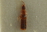  ( - CNC COLEO 00250575)  @11 [ ] CreativeCommons - Attribution (2014) CBG Photography Group Centre for Biodiversity Genomics